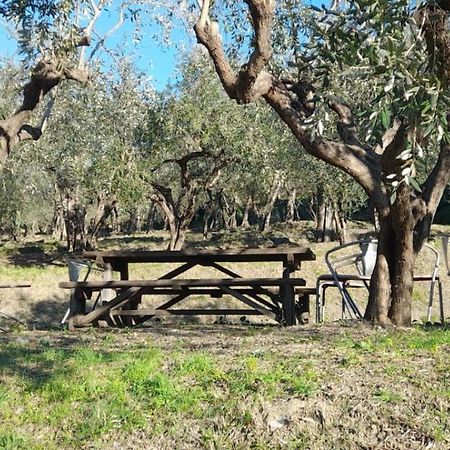 Agriturismo Cele Челе Лигуре Екстериор снимка