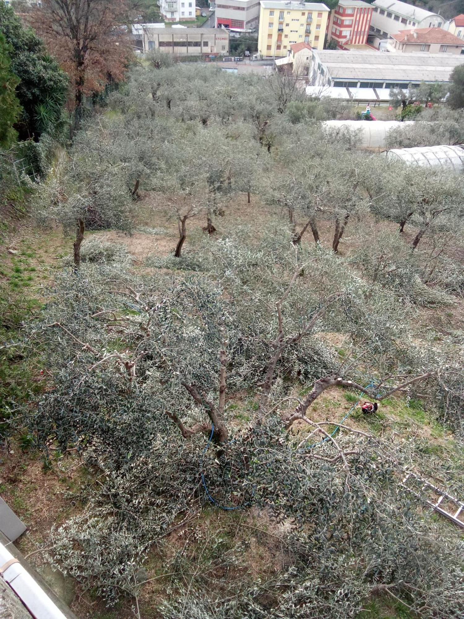 Agriturismo Cele Челе Лигуре Екстериор снимка