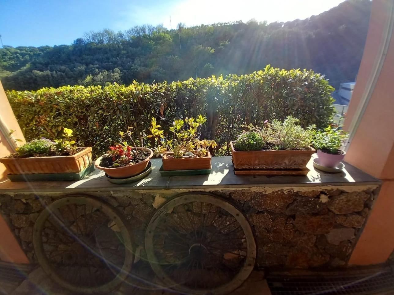 Agriturismo Cele Челе Лигуре Екстериор снимка