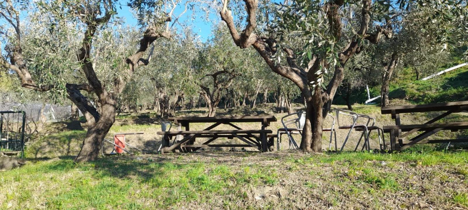 Agriturismo Cele Челе Лигуре Екстериор снимка